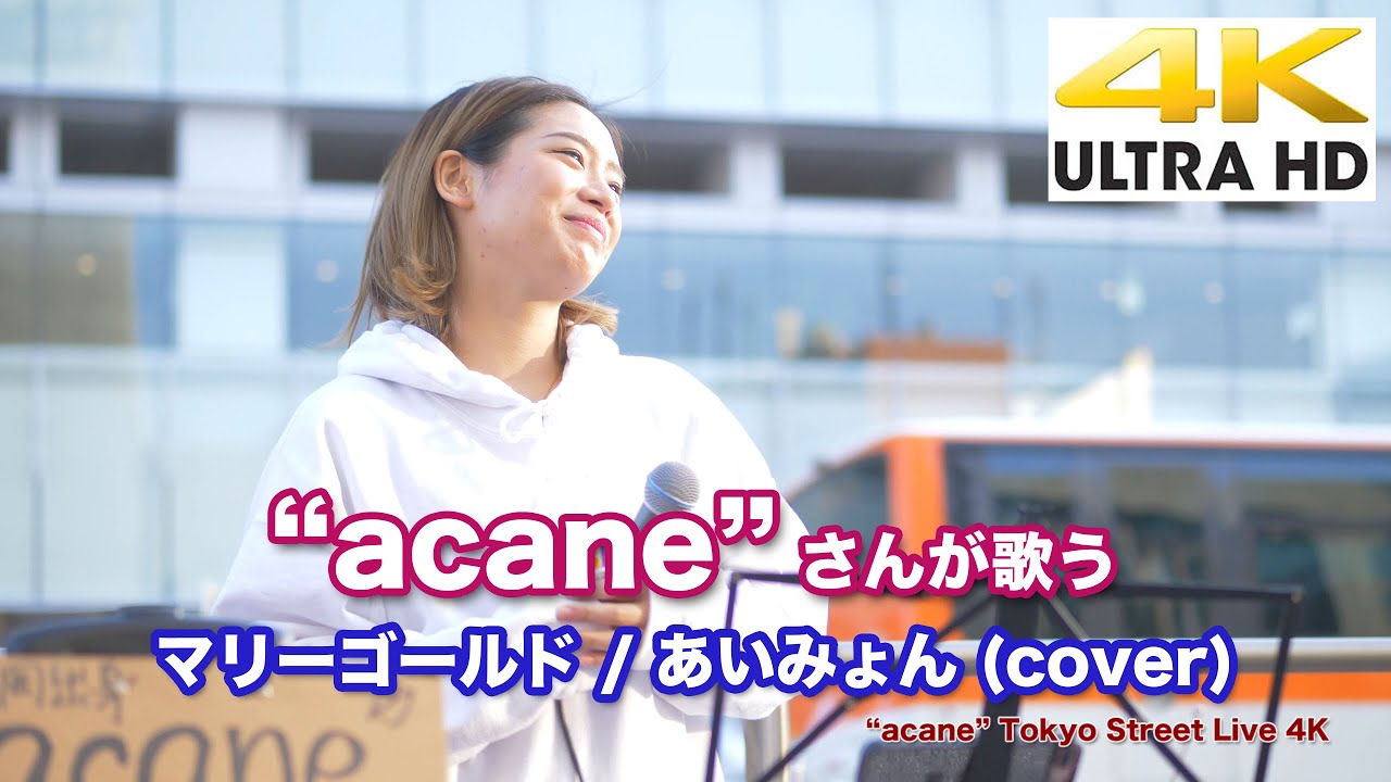 【4K】“acane”  マリーゴールド / あいみょん（cover）4K動画