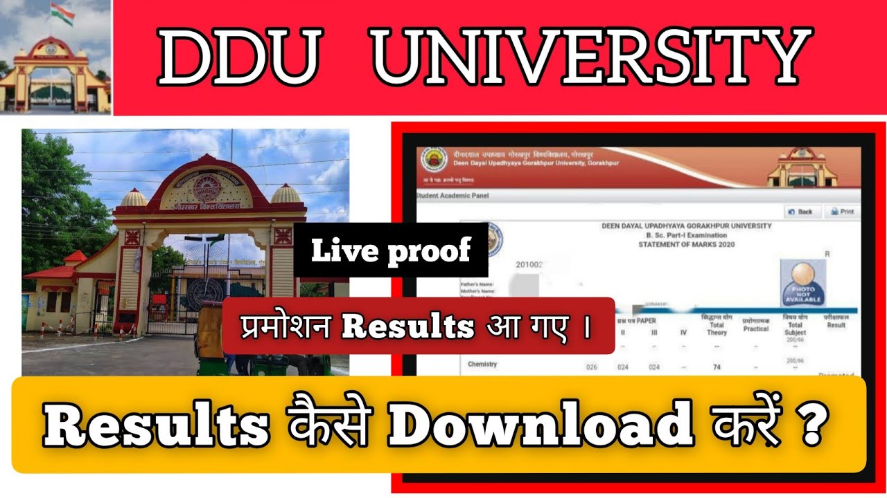 DDU || Results कैसे Download करें ? पुरी जानकारी ।