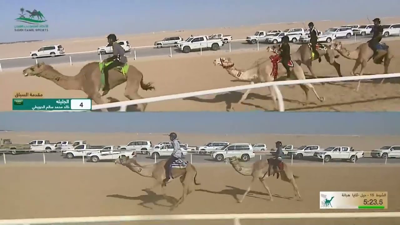 الشوط الأول سباق الهجانة حيل ووثنايا بكار صباح يوم الثلاثاء 3-12-2024 من #كأس_وزارة_الرياضة_للهجن