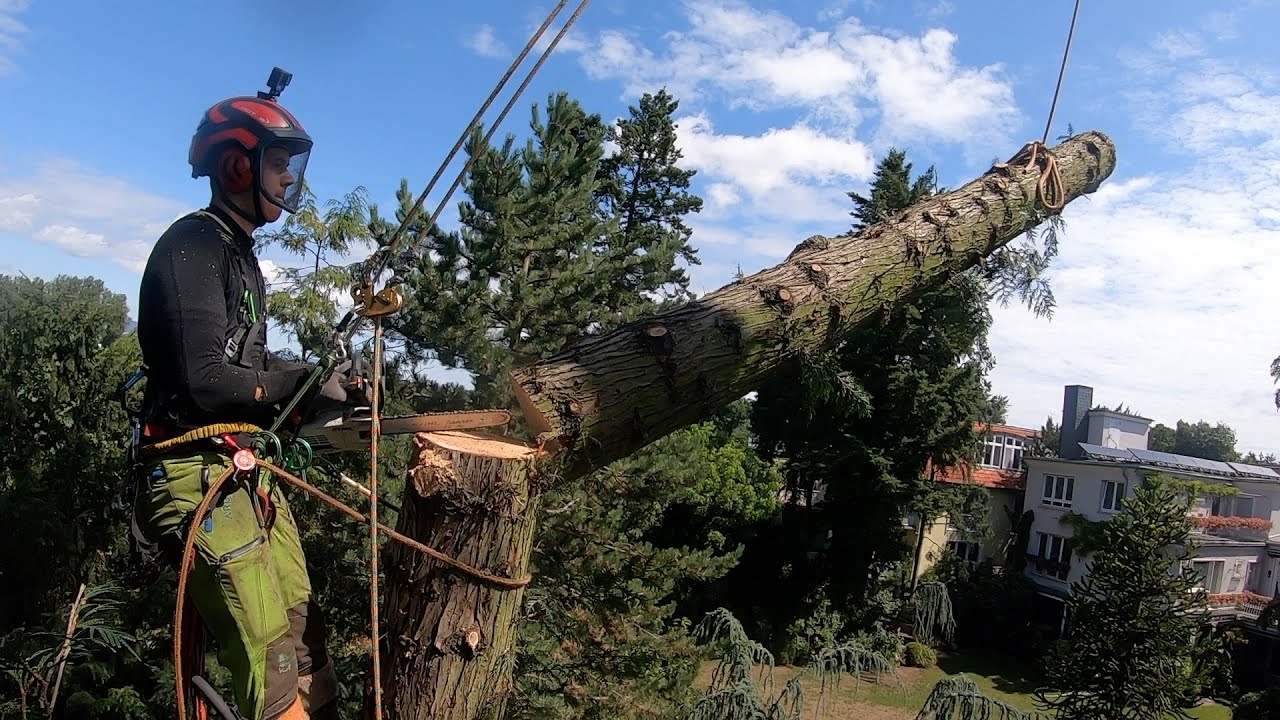 6 Stunden im Baum - 4 Hütten, Rigging, SKT dieses Video hat alles!