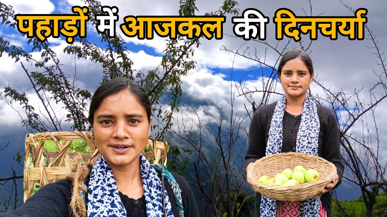 अभी सेब अच्छे से पके नहीं।। @Kareenavlogs11 ।। Pahadilifesyle Vlogging ll