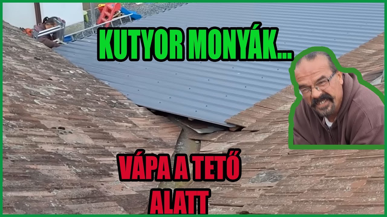 Szakszerű kutyor monyákolás