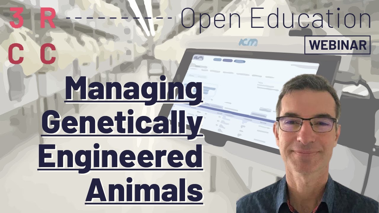 Managing Genetically Engineered Animals Through the Lens of the 4Rs by Jean Cozzi