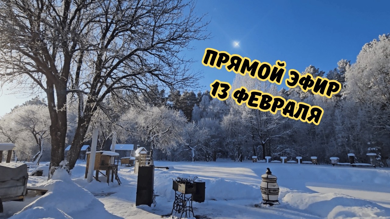 Решаем, что делать с каналом!🙌