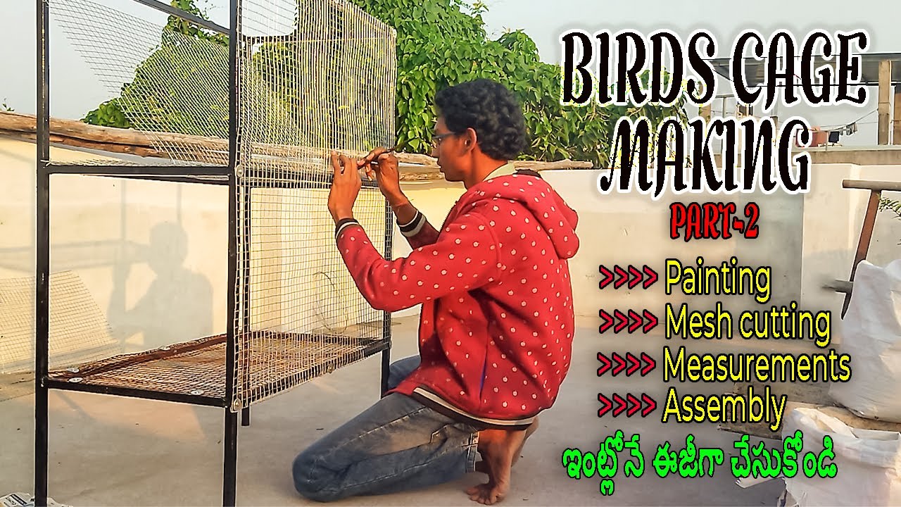 నా Birds కోసం చేసిన Cage అదిరిపోయింది! 😍 DIY Bird Cage Making Part 2 Painting & Finishing