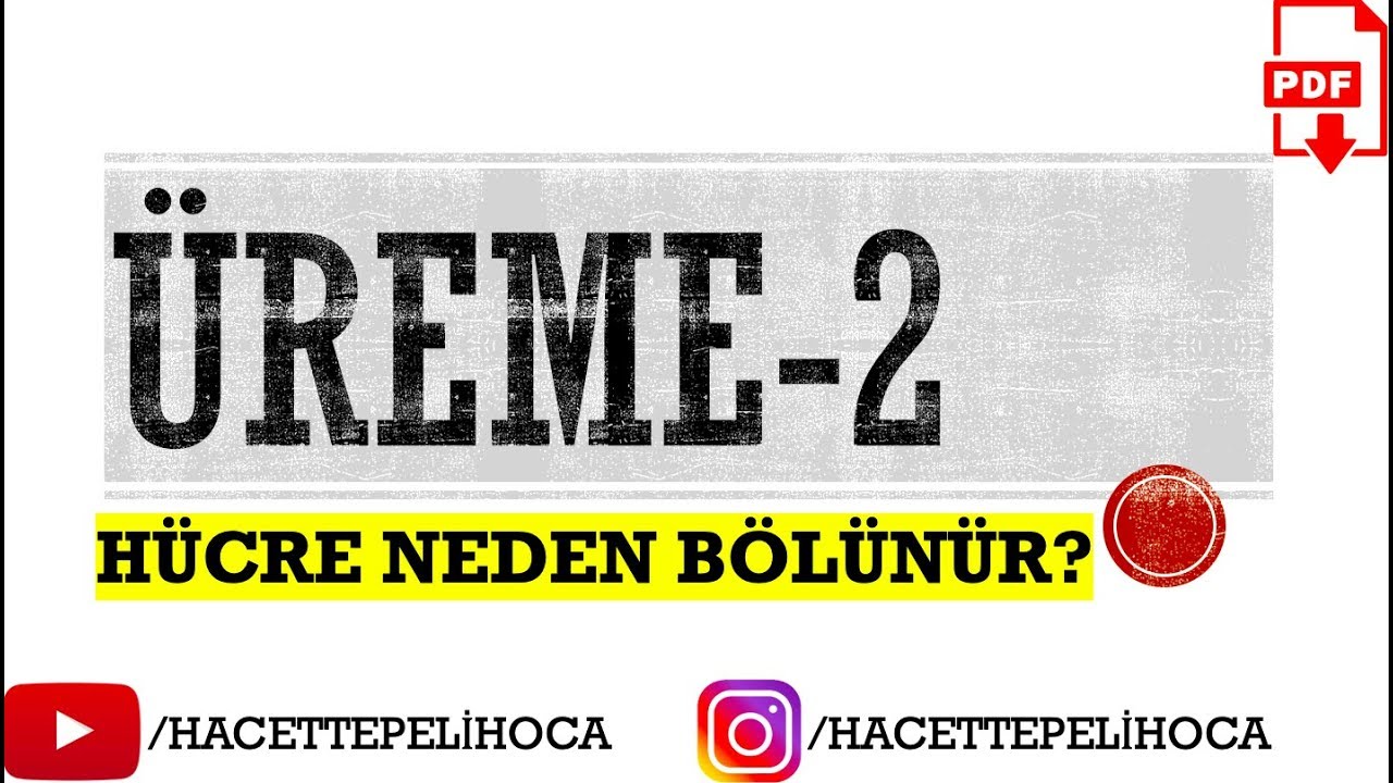 78 - ÜREME - 2 - HÜCRELER NEDEN BÖLÜNÜR?  | TYT | 10. Sınıf | #hacettepelihoca