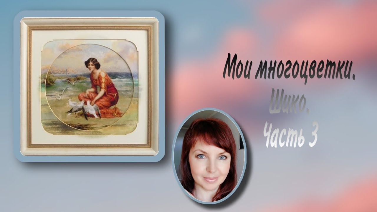 Мои многоцветки. Шико. Часть 3