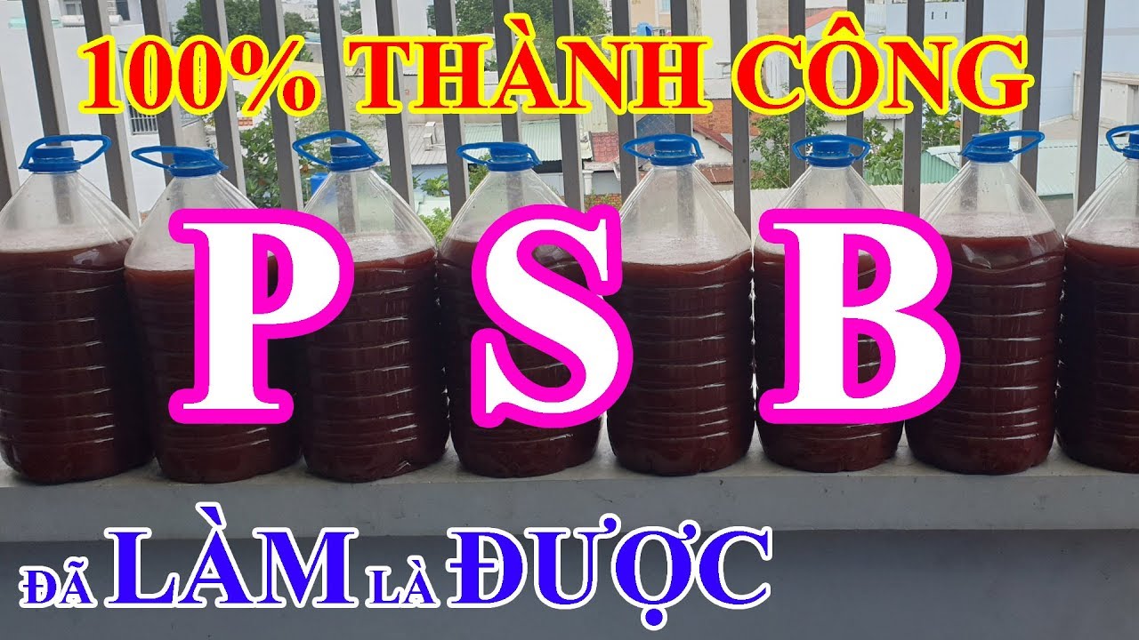 CHIA SẺ KINH NGHIỆM NHÂN GIỐNG PSB CHẮC CHẮN THÀNH CÔNG 100% | trần tèo