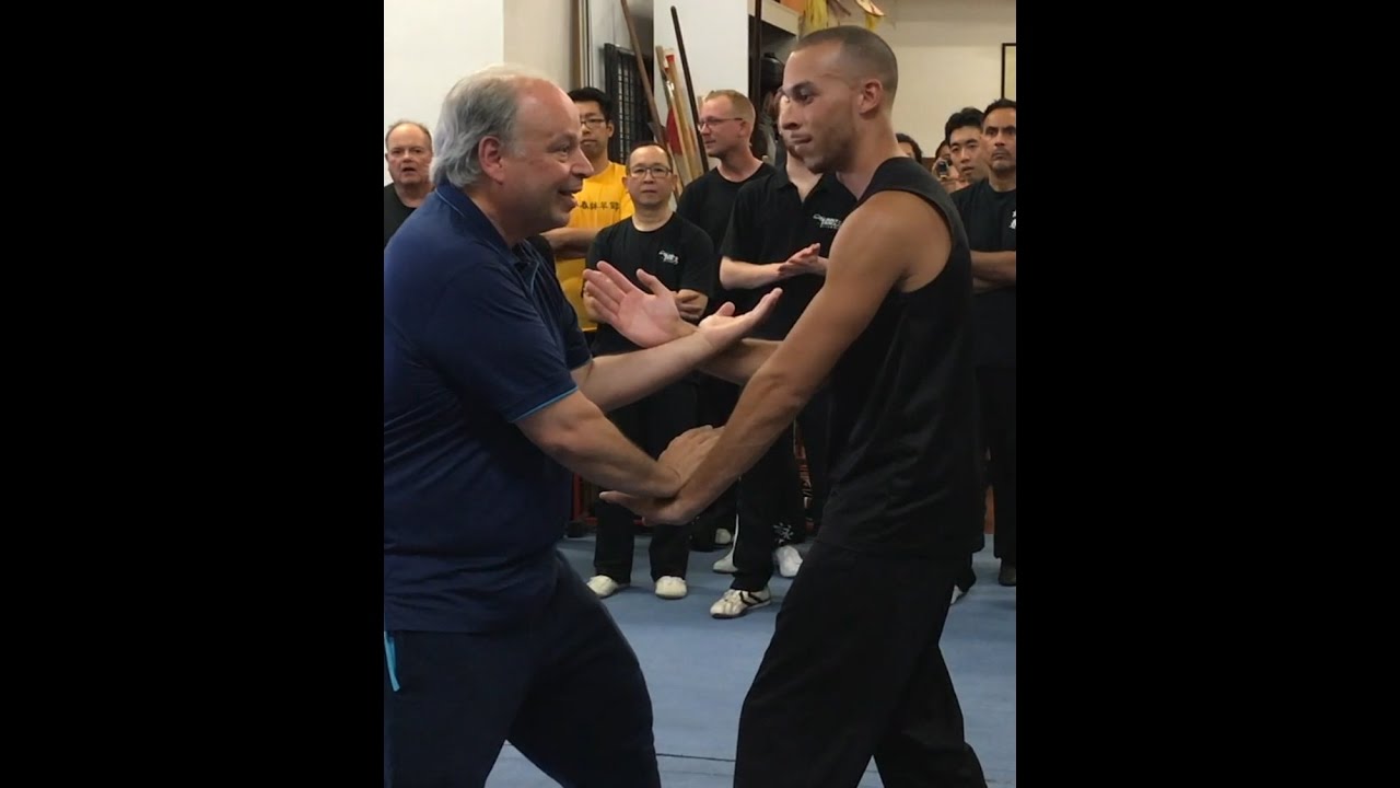 Video - Ving Tsun (Wing Chun) Seminar in Canada #wingchun #kungfu #artesmarciais #brasilia