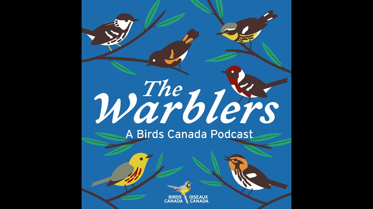 Exploring Bird Sounds with Dan Mennill