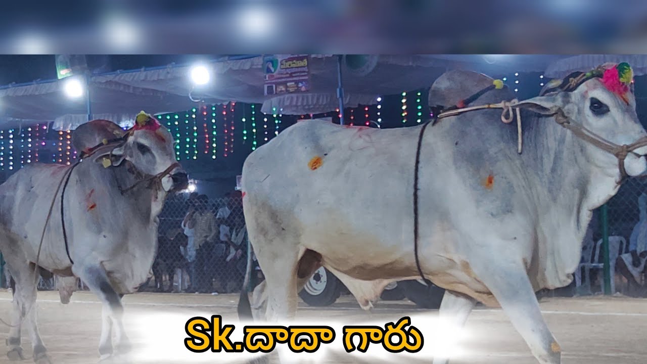 రెంటచింతల సబ్ జూనియర్స్ 13వ Sk. దాదా గారు కోవిగుర్రంబావి గ్రామం నల్గొండ జిల్లా.