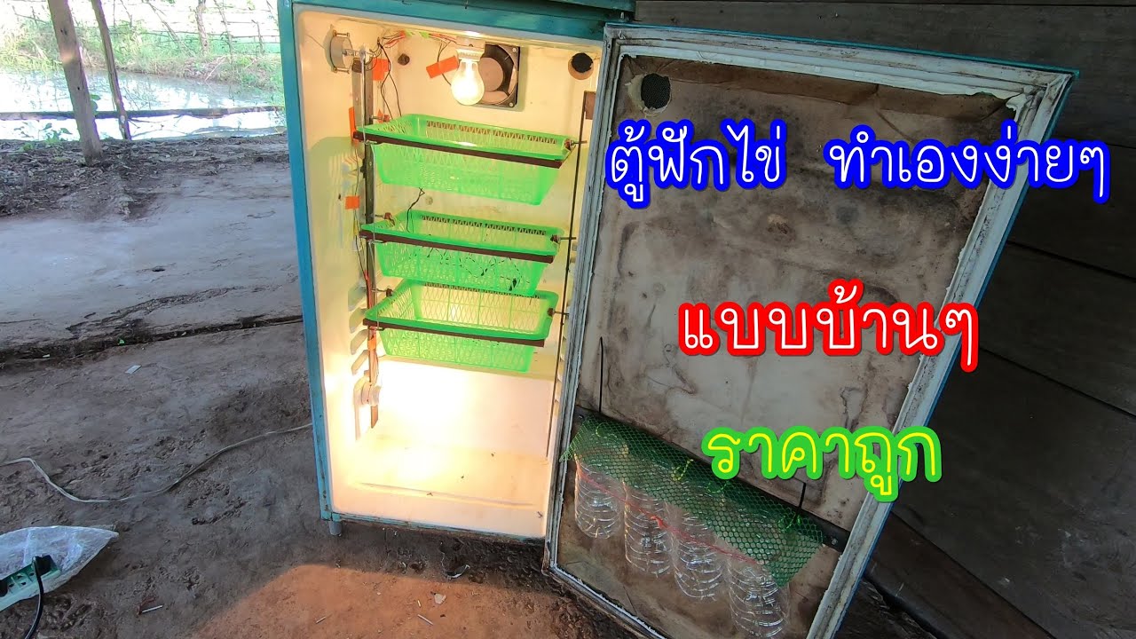 ตู้ฟักไข่ ทำเองง่ายๆ ราคาประหยัด