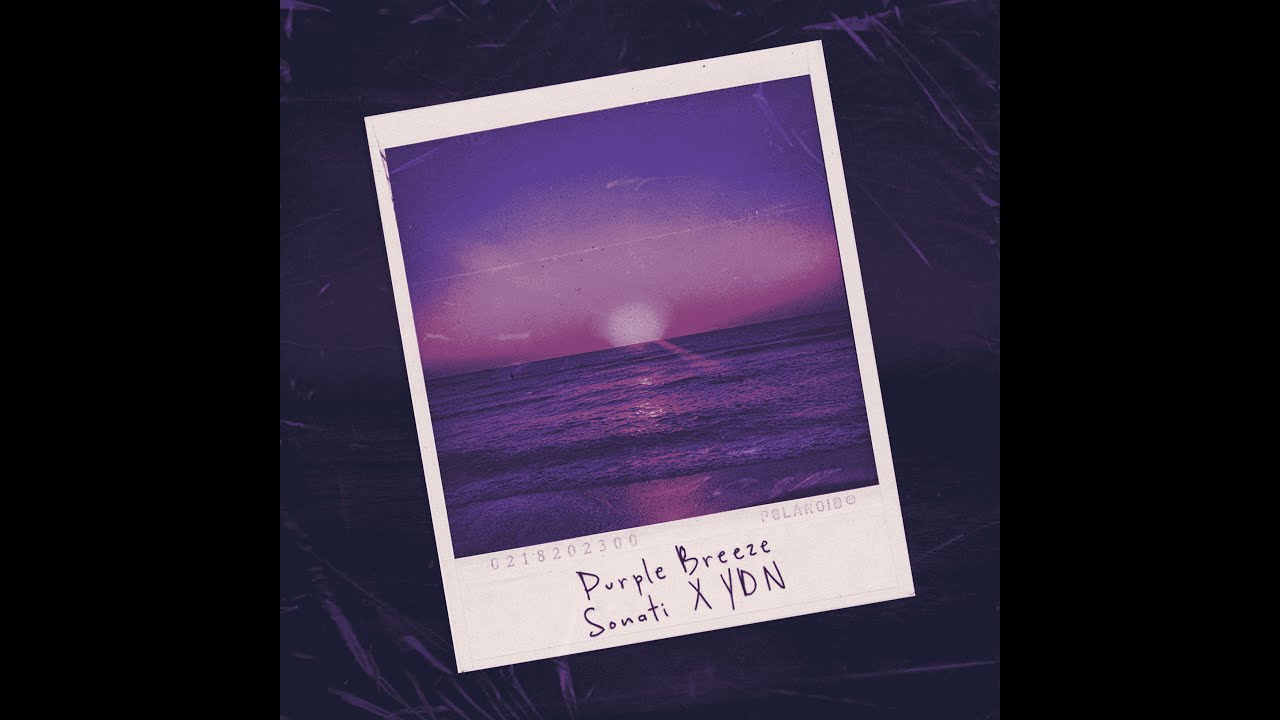 Sonati - Purple Breeze (feat. ydn.) (Official Lyric Video)