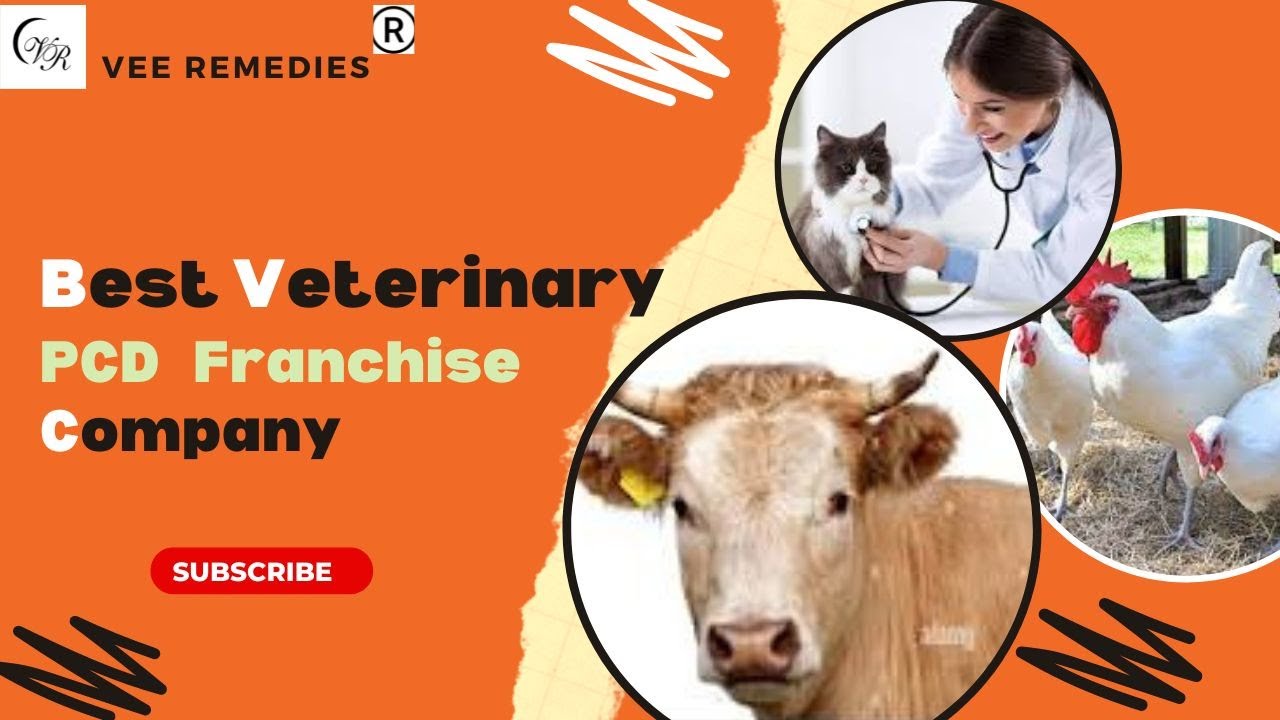 Veterinary Medicine/Animal Products /Pet & Poultry Medicine/Best PCD Pharma Franchise Company