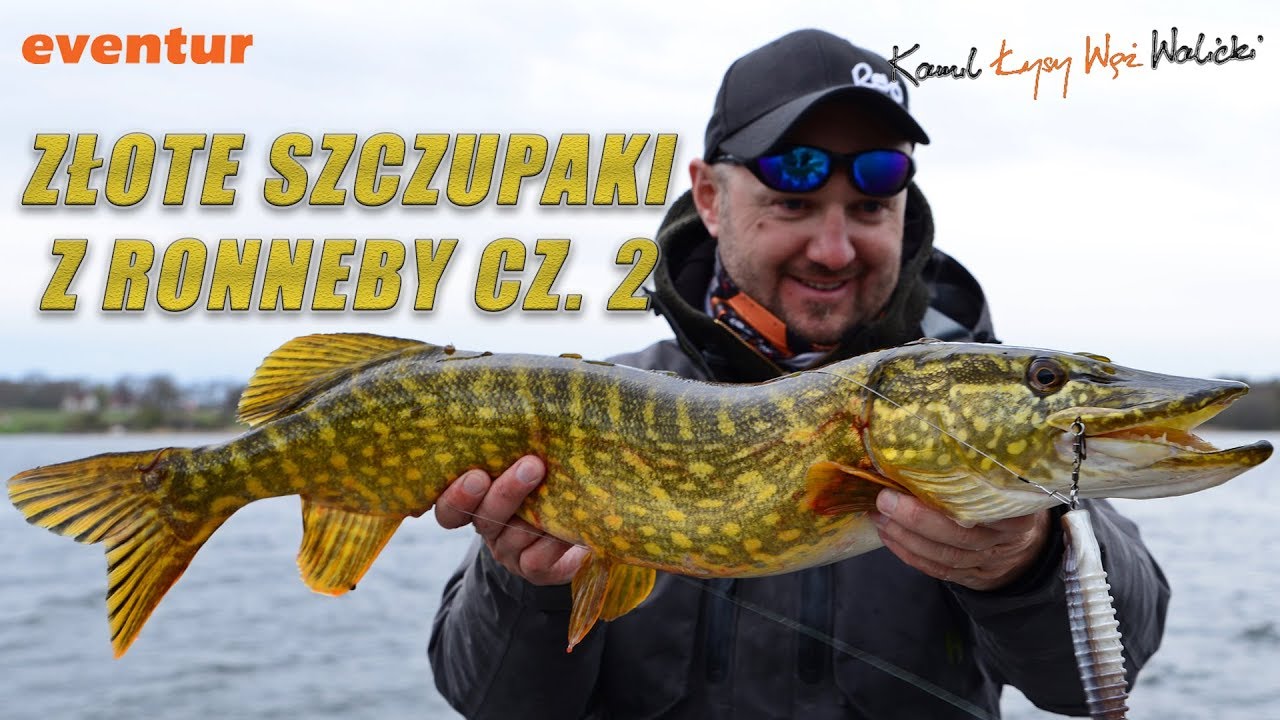 PRZYNĘTY NA SZCZUPAKI - Złote szczupaki ze szkierów Ronneby cz 2 / #005