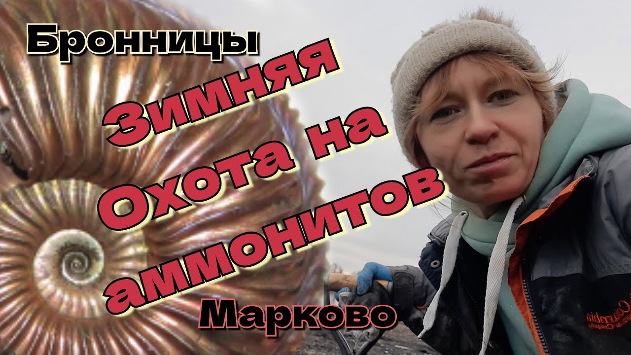 Зимняя охота на аммонитов Amoeboceras. Бронницы-Марково.