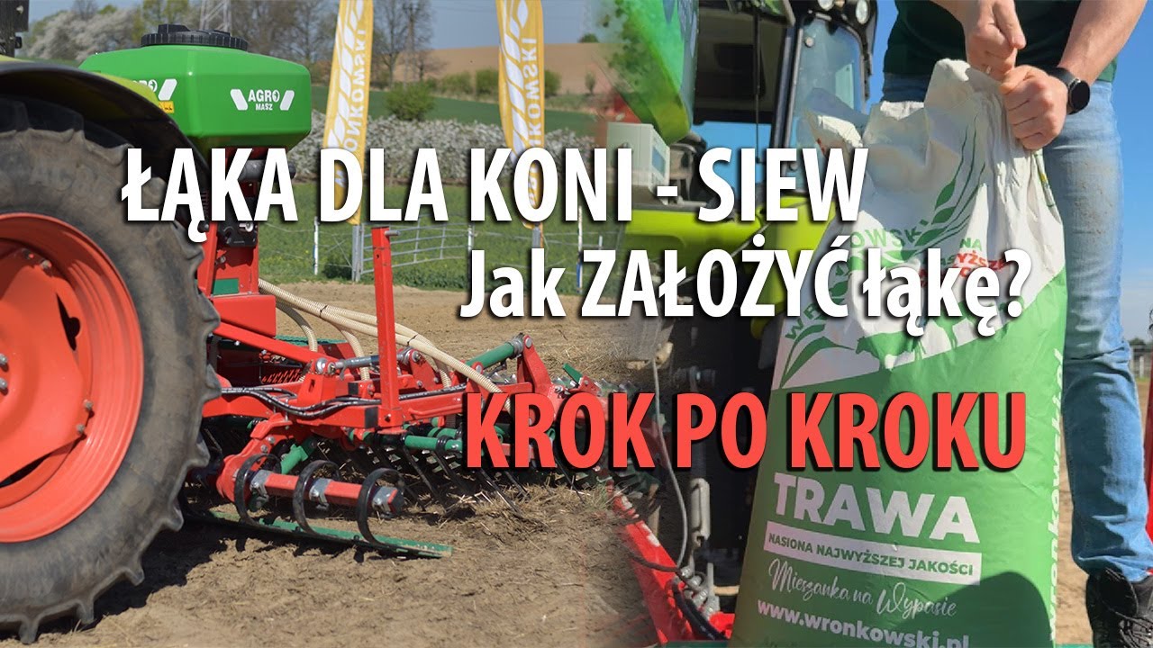 Jak założyć łąkę dla koni? Podsiew krok po kroku z ekspertami