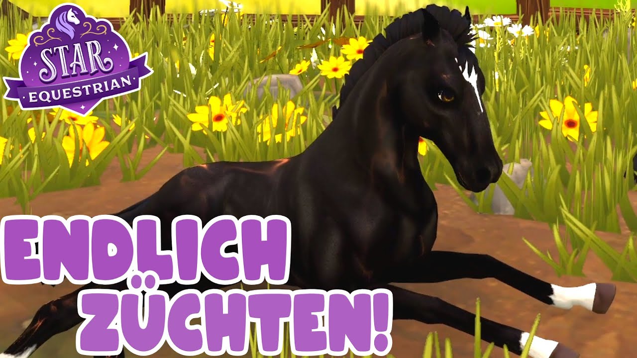 Wir züchten das erste Fohlen🤩 🦄 Star Equestrian PC