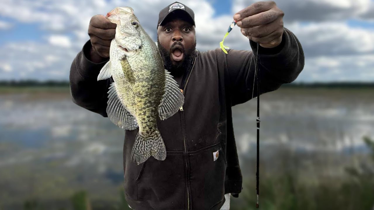 This Marsh Was Loaded With Fish