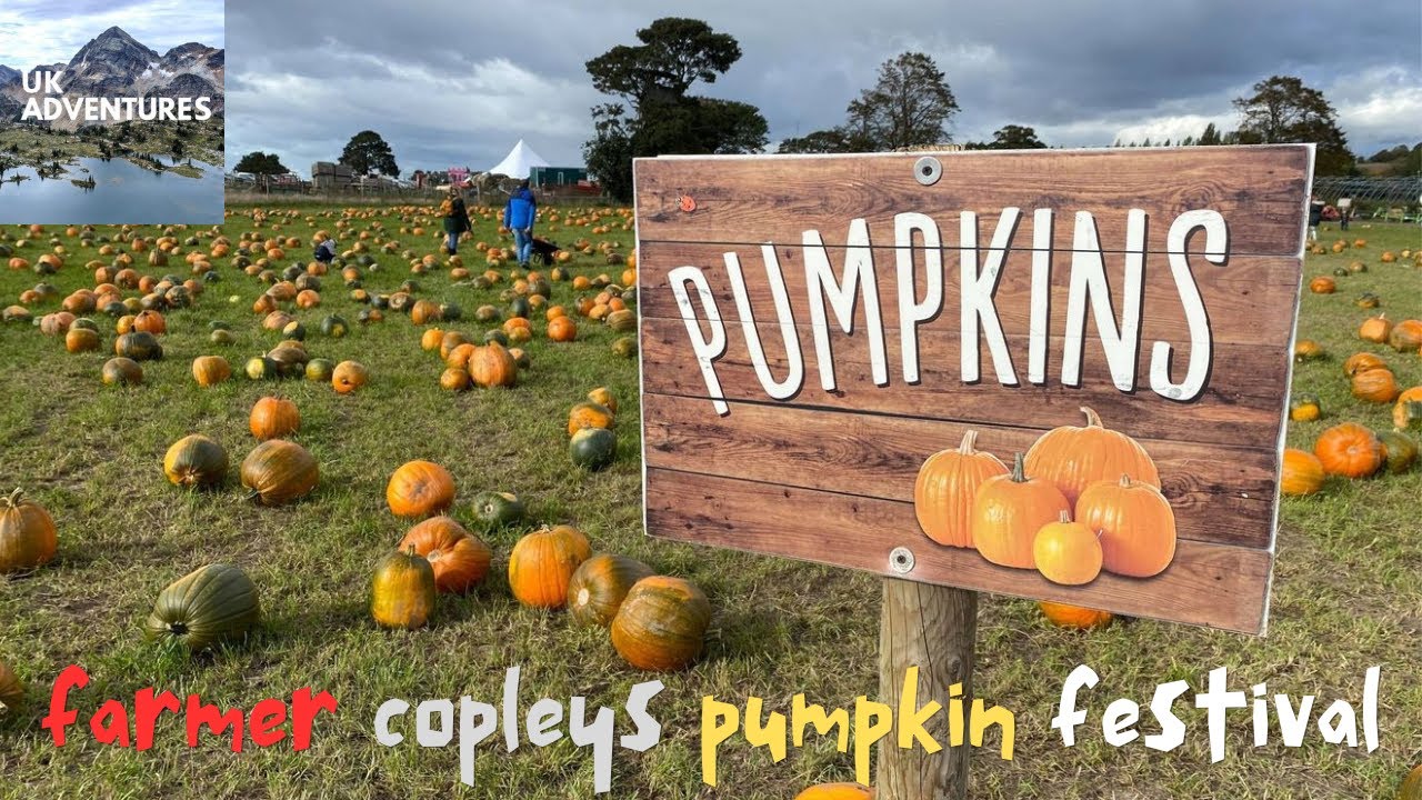 farmer copleys fantastic halloween pumpkin picking