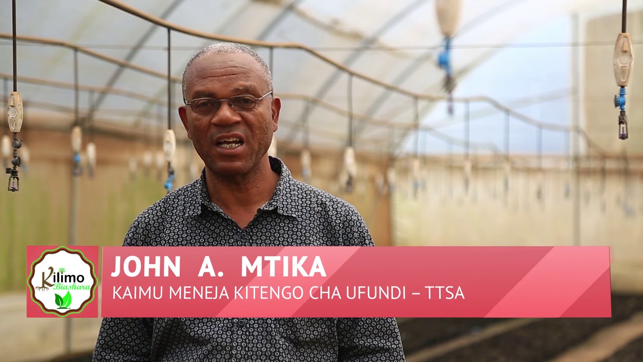 Kilimo cha Miti,Tengeneza Milioni 250 Kwa Muda Mfupi