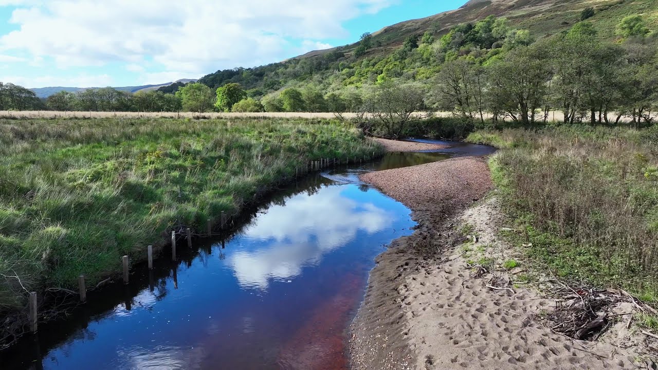 Wild Fisheries Fund River Ruel Habitat Improvement