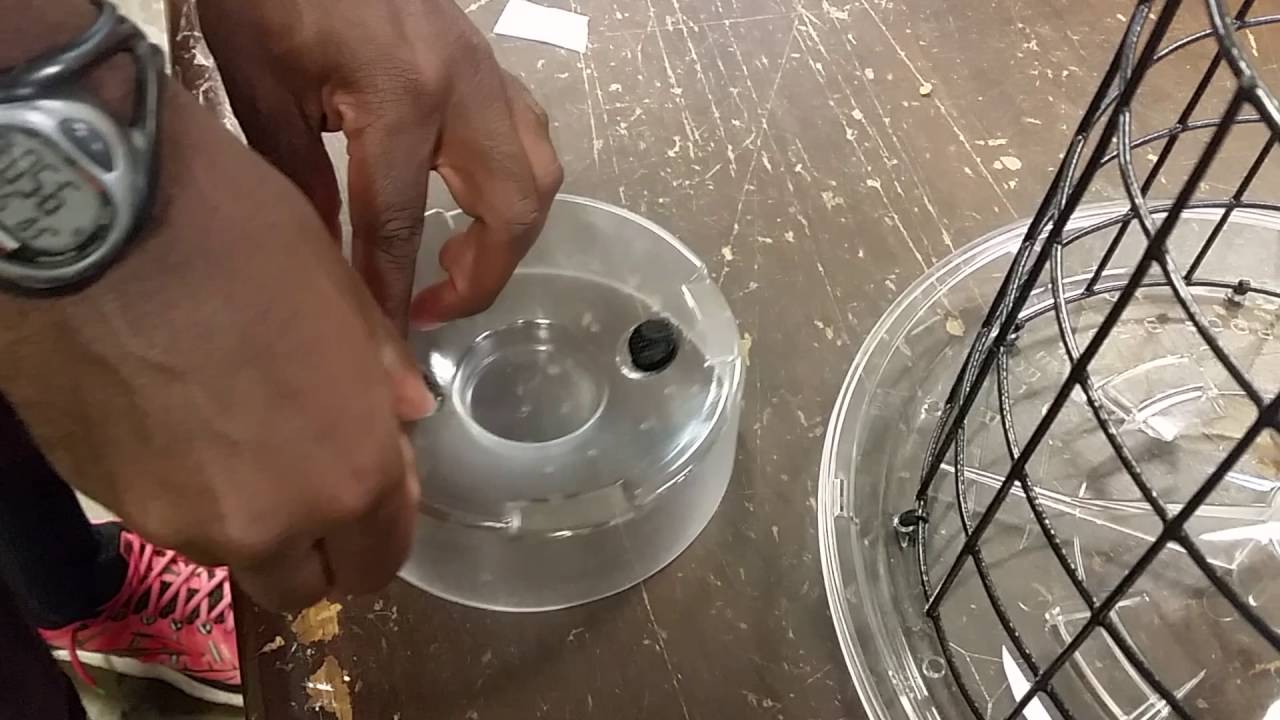 How to Install Mealworm Cup