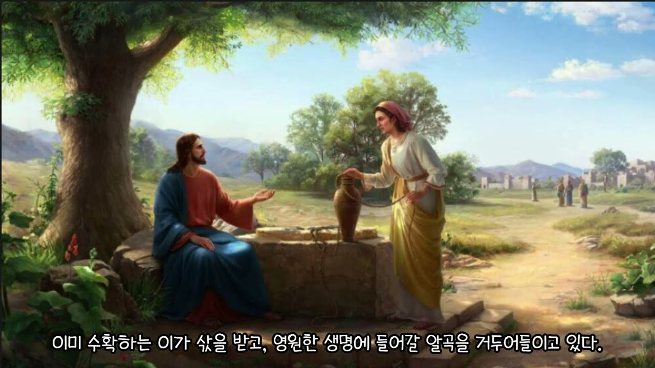 2026.3.8 매일미사 독서 & 복음 [주님이 말씀하신다. 내가 주는 물을 마시면, 네 안에서 영원한 생명의 샘이 솟아나리라.]