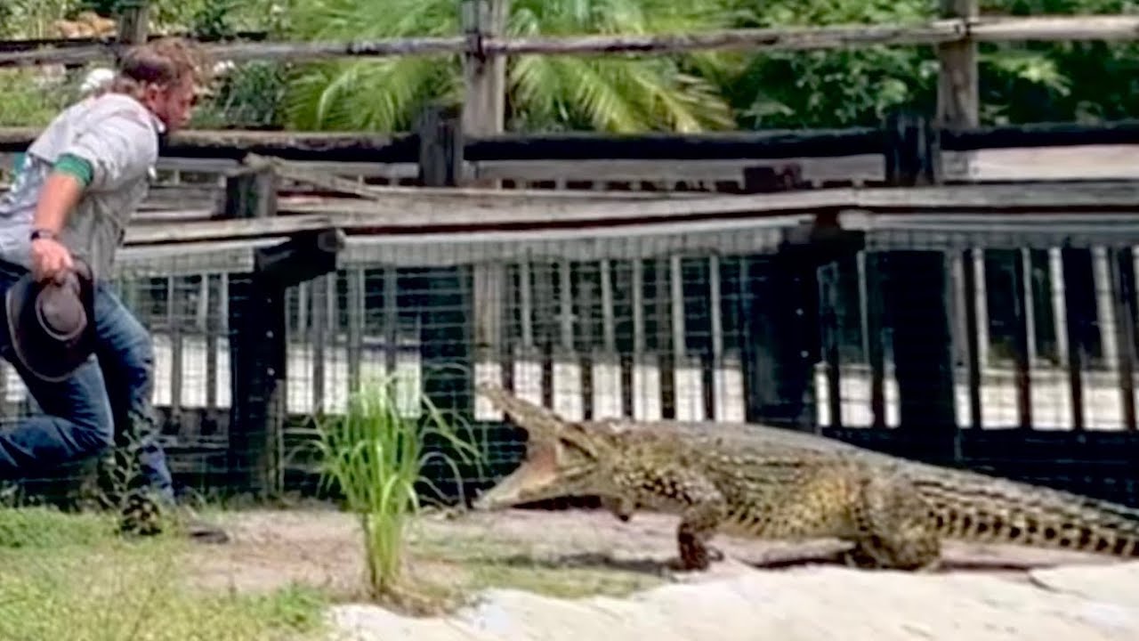 Bossman & Danger Danny almost get eaten by Crocodiles‼️😱