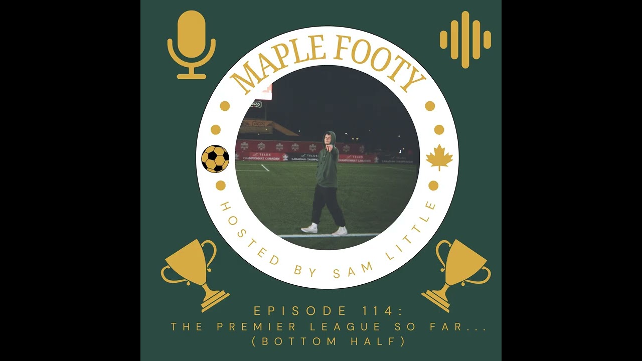 The Bottom Half Of The Premier League So Far...