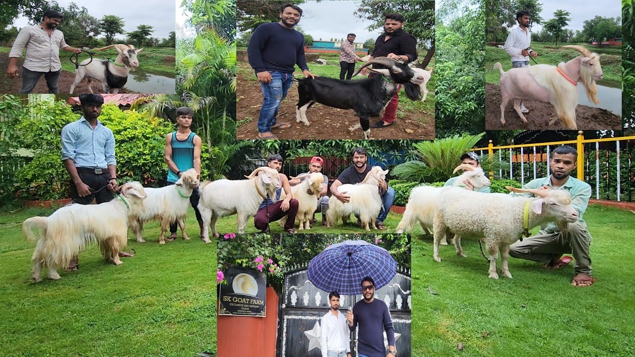 High Level Luxury Farm India Of Shahrukh Khan Shahpur | Full Tour SK Goat Farm.