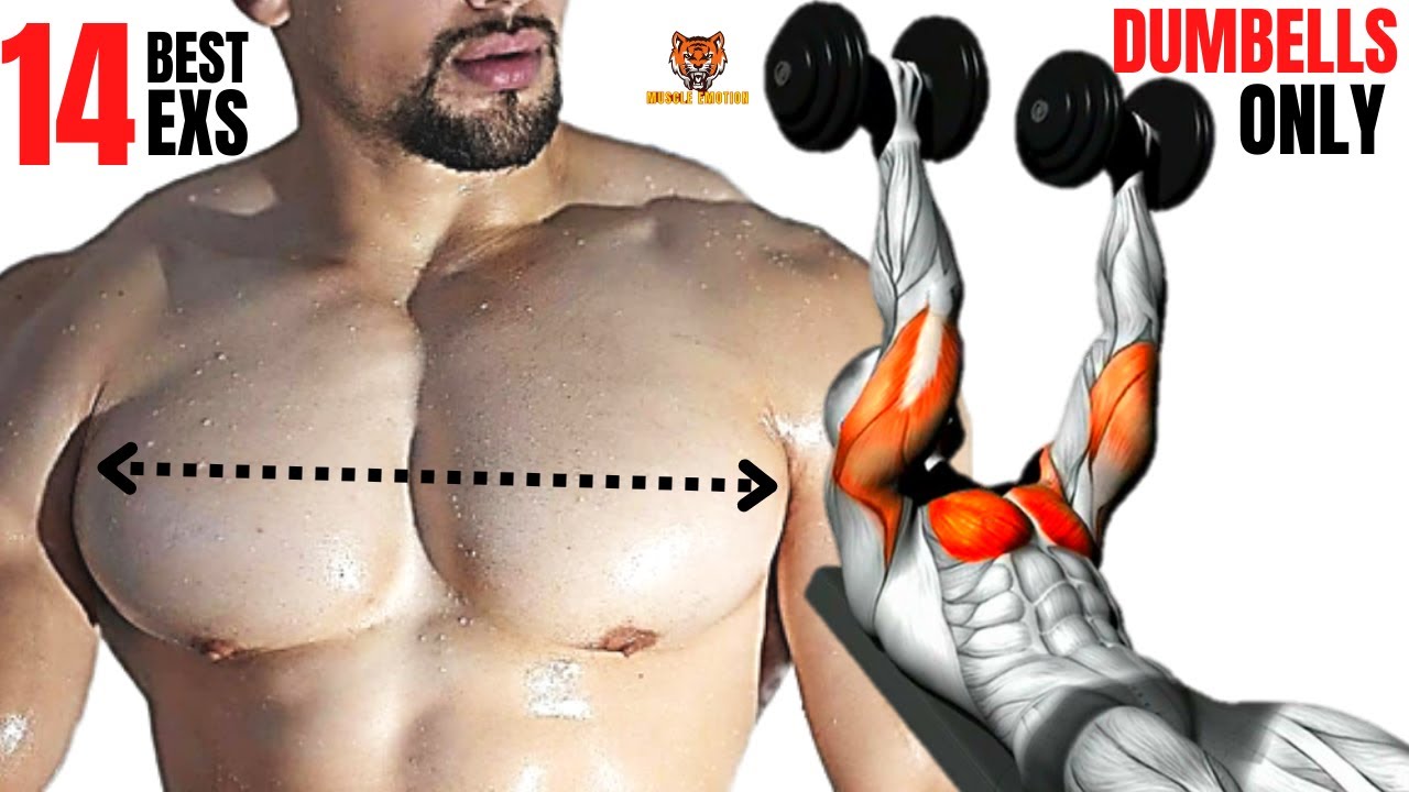 14 BEST CHEST  WORKOUT AT GYM / HOME  WITH DUMBELLS ONLY   / Meilleurs exs Musculation  poitrine .