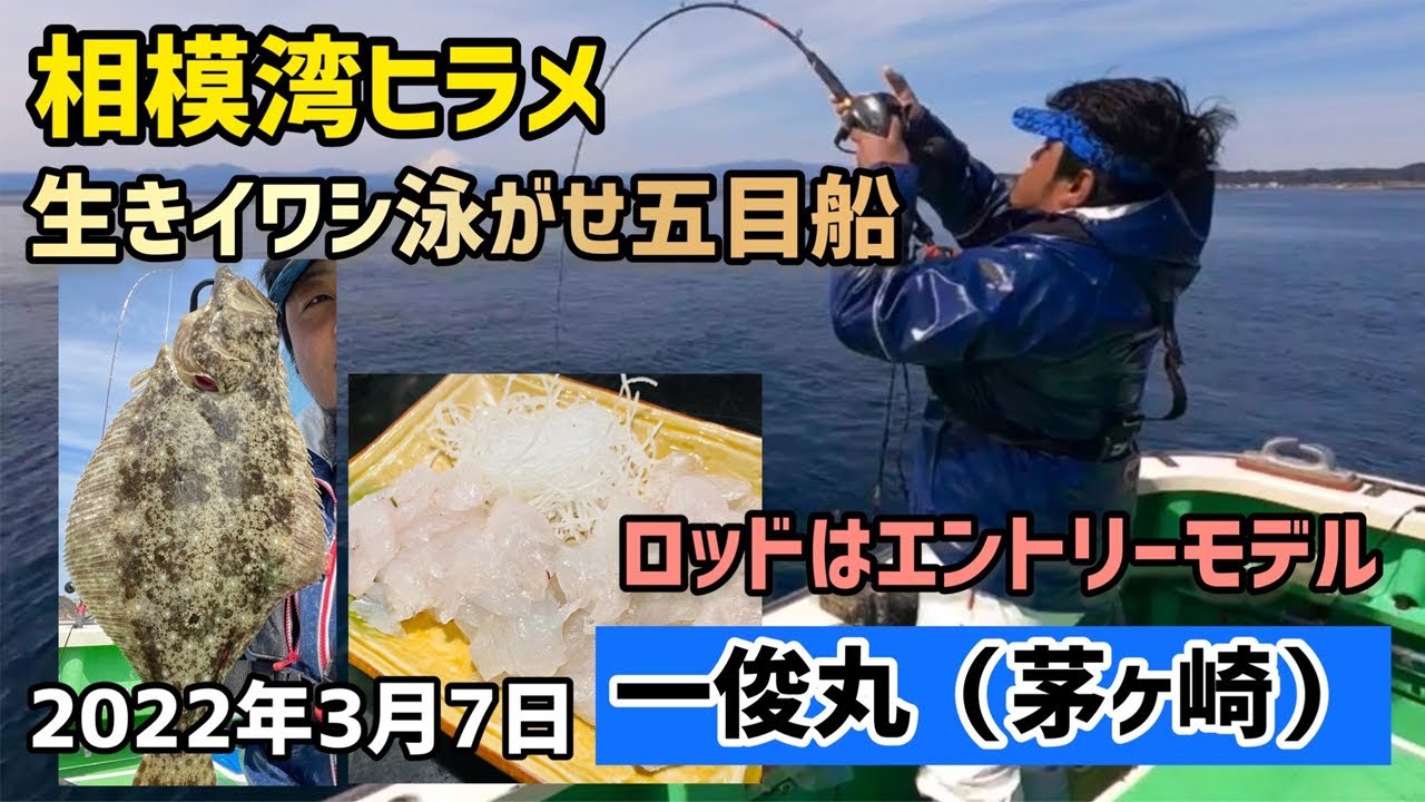 【相模湾ライトヒラメ】 生きイワシ泳がせ五目  一俊丸 2022年3月 #19
