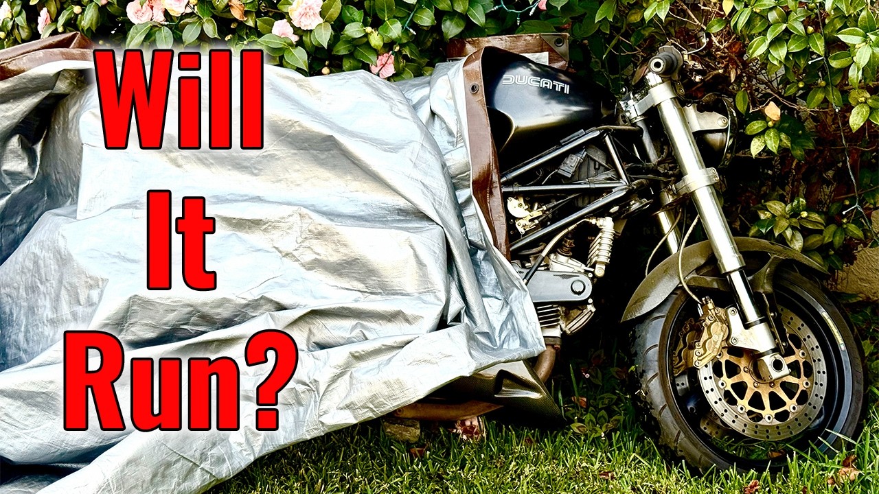 Заведётся? Ducati Monster