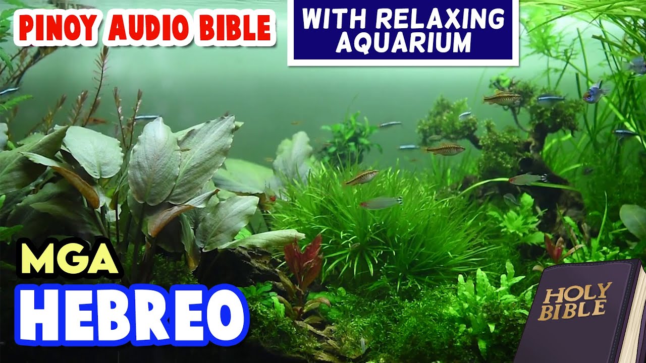Book of Hebrews -Tagalog audio bible
