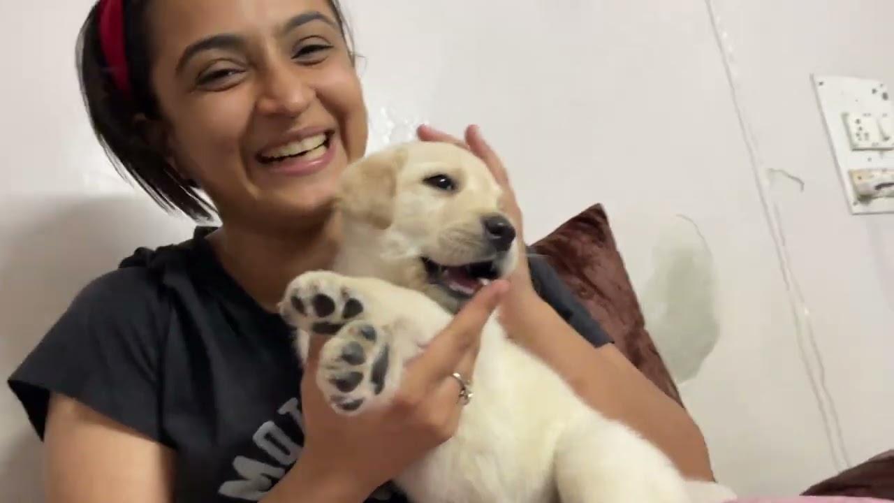 MARK KO VAPAS LARA HU 🐶