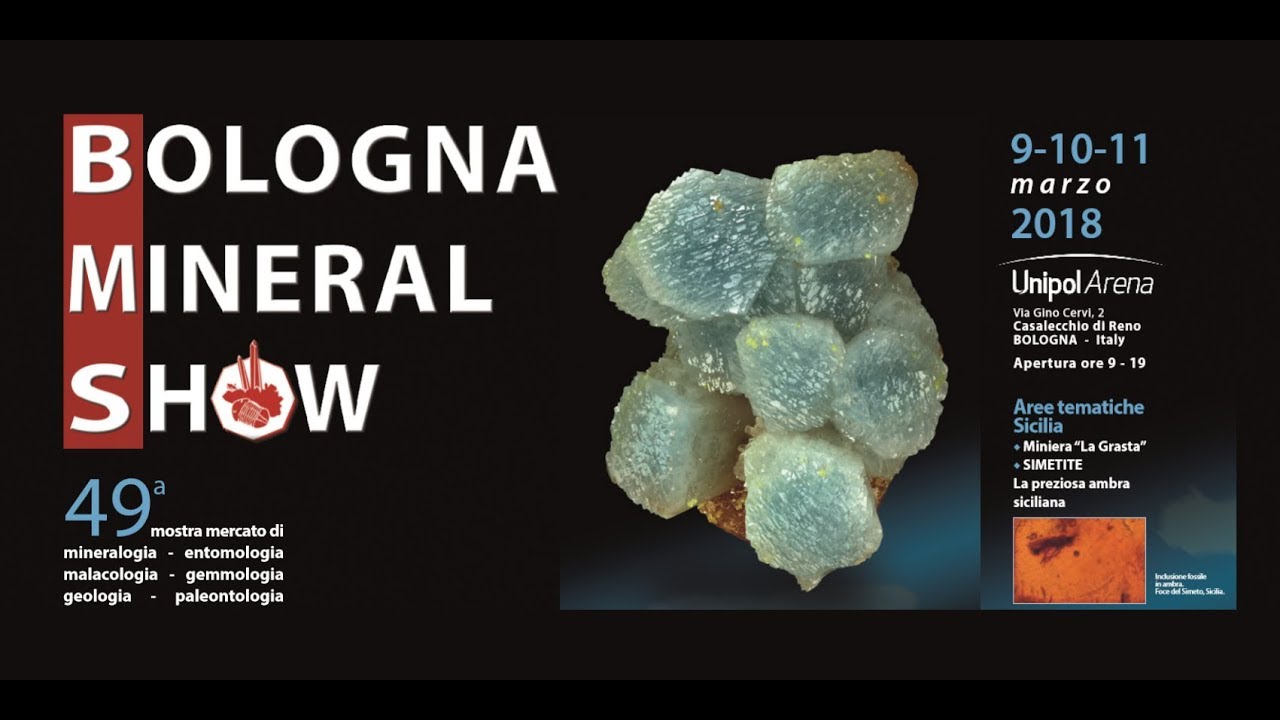 Bologna Mineral Show promo per edizione 2018