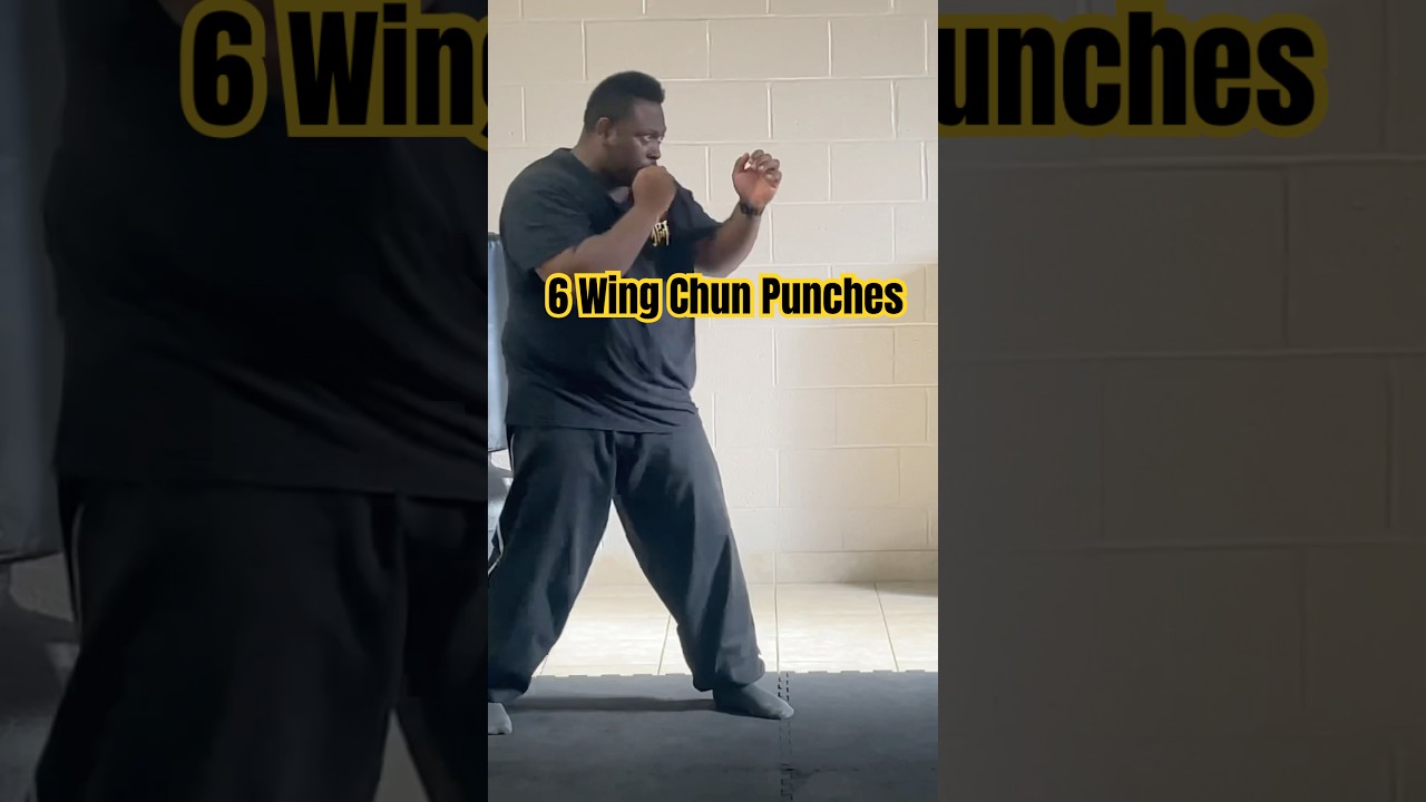 6 Wing Chun Punches #wingchun #kungfu #martialarts