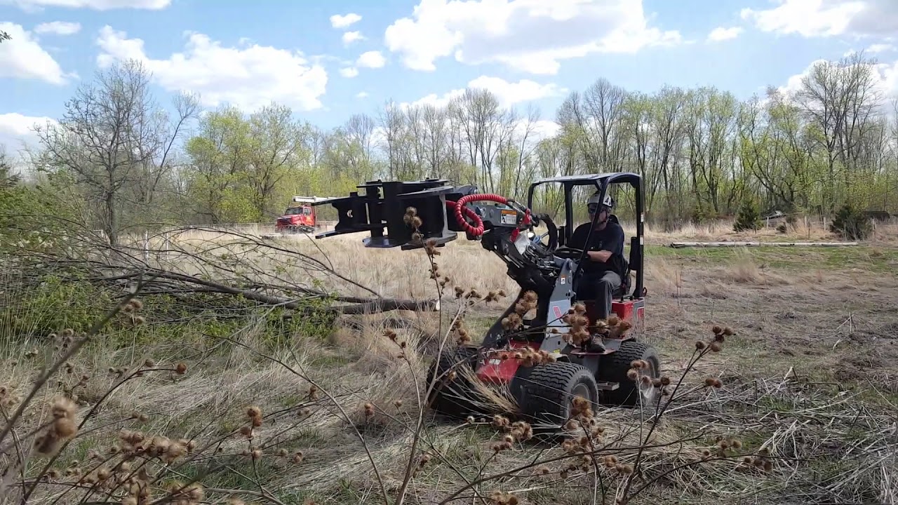 Branch Manager Tree Shear