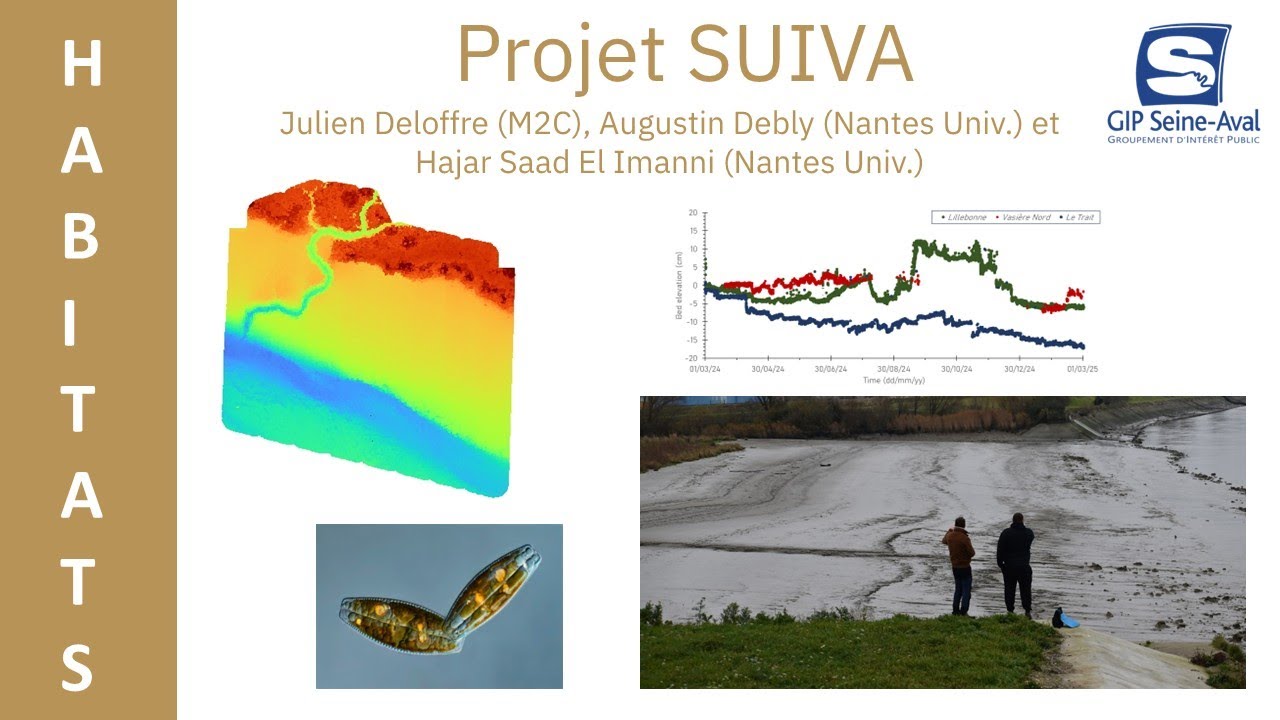 Réseau de suivi morphologique et écologique des vasières de l’estuaire de la Seine