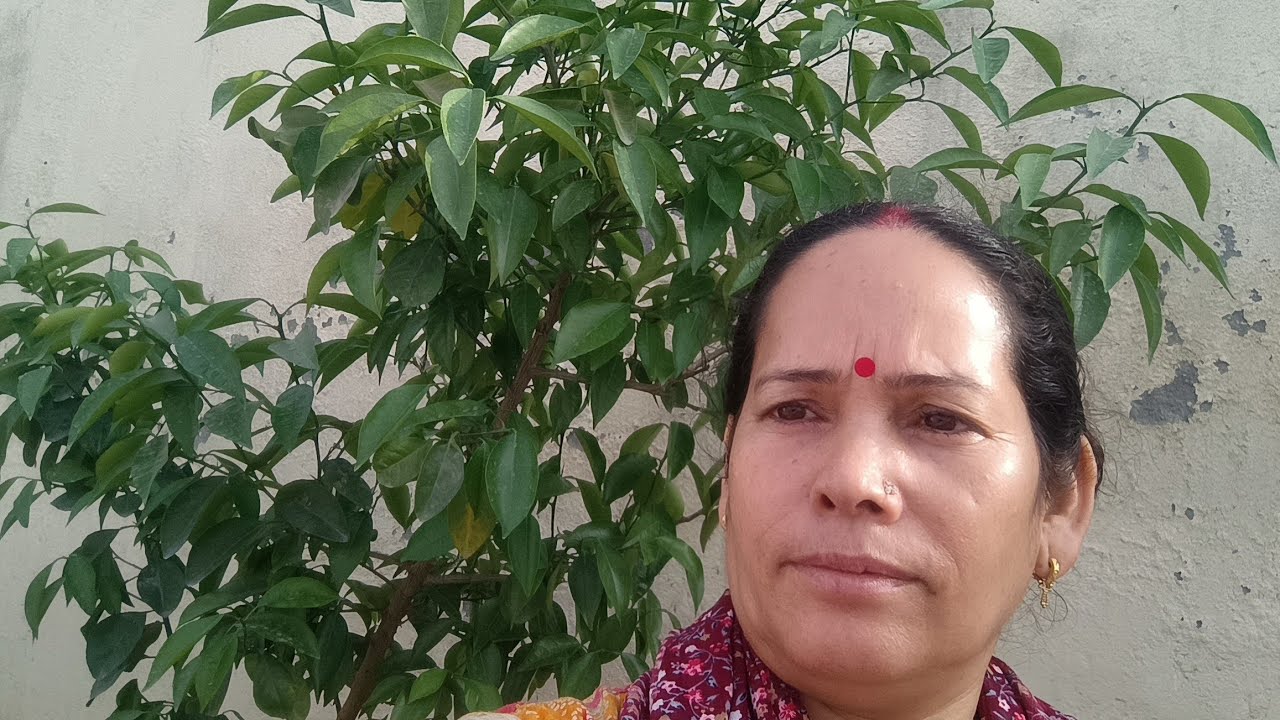 गर्मी के सीजन की सब्जी तैयारी 🌿🌱||गंगा रावत विलक🪴🪴||..
