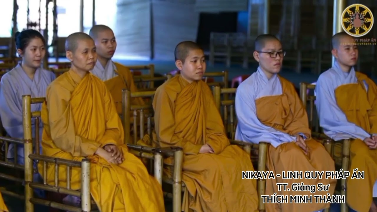 Sám Hối Như Thế Nào Mới Đúng ? #nikaya #thichminhthanh #linhquyphapan #soisangphaphanhnikaya