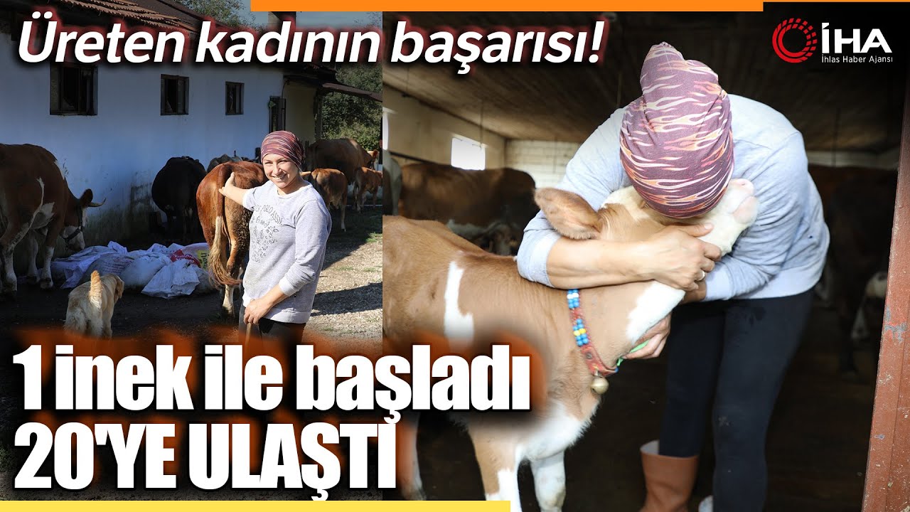Üreten Kadının Başarı Hikayesi, Tek Başına 20 Büyükbaş Hayvana Bakıyor