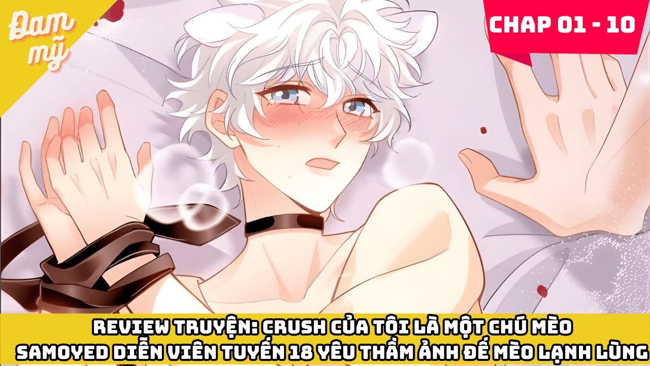 REVIEW TRUYỆN: CRUSH CỦA TÔI LÀ MỘT CHÚ MÈO SAMOYED DIỄN VIÊN TUYẾN 18 YÊU THẦM ẢNH ĐẾ MÈO LẠNH LÙNG
