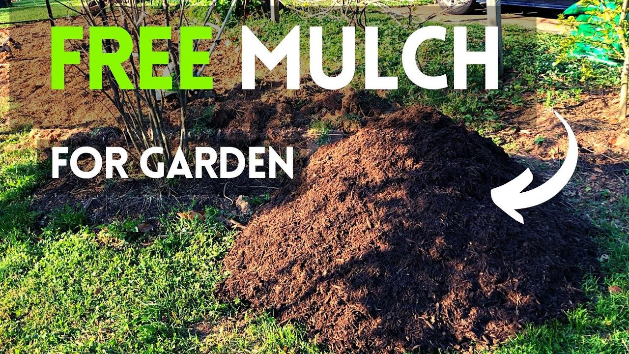 How to get free mulch for garden. Where to get free mulch.