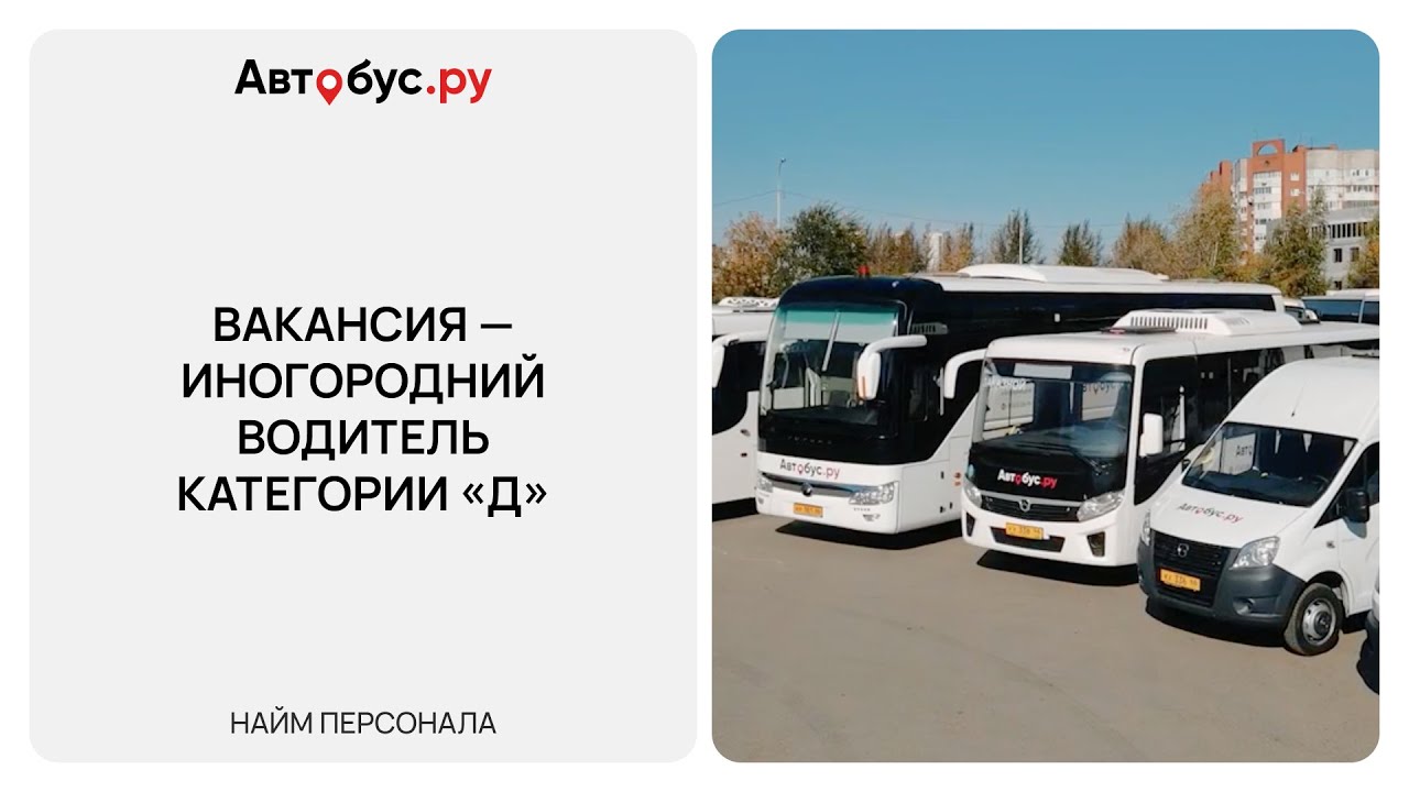 Приглашаем на работу водителей категории D — обзор вакансии в Автобус.ру