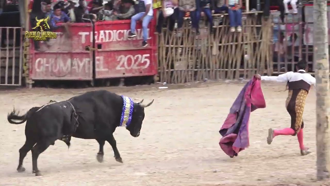 CORRIDA DE PROMESAS MAMITA YUC 14 AGOSTO 2025