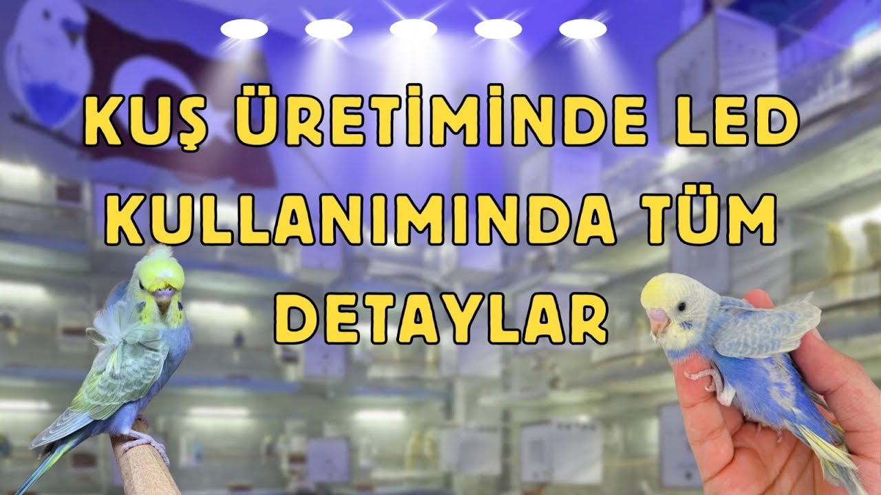 TAM OTOMATİK ÜRETİMHANE 🤩ÜRETİMDE LED IŞIK KULLANIMINDAKİ TÜM MERAK EDİLENLER🙂‍↕️