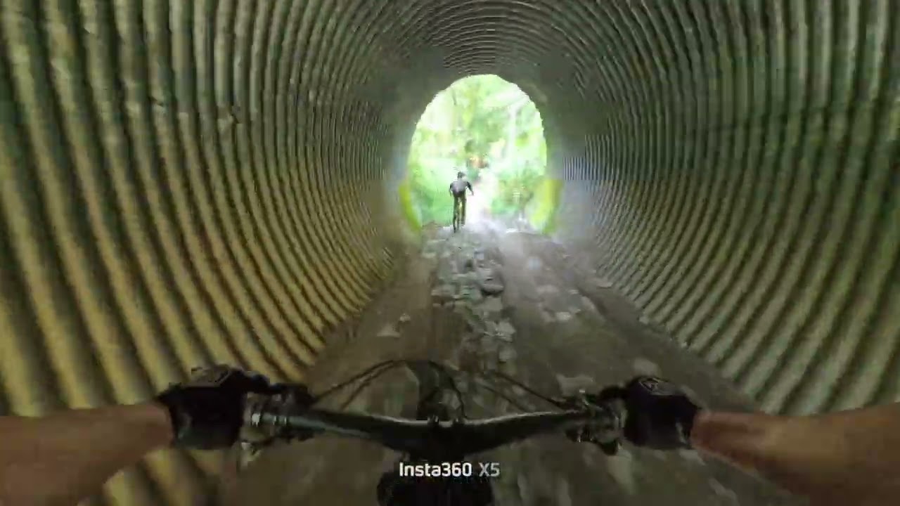 Fun bits of Bukit Timah Trail 