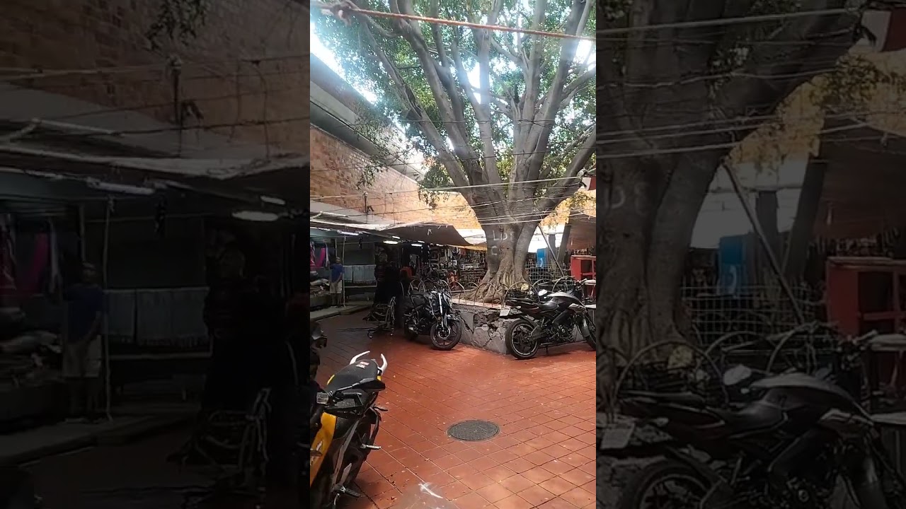 mercado libertad